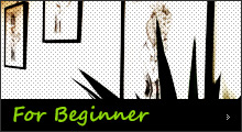 beginner